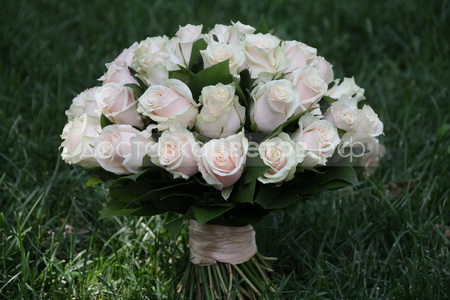 Букет из 25 кремовых роз "Леди Крем"
